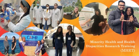 Minority Health and Health Disparities Research International Training Program